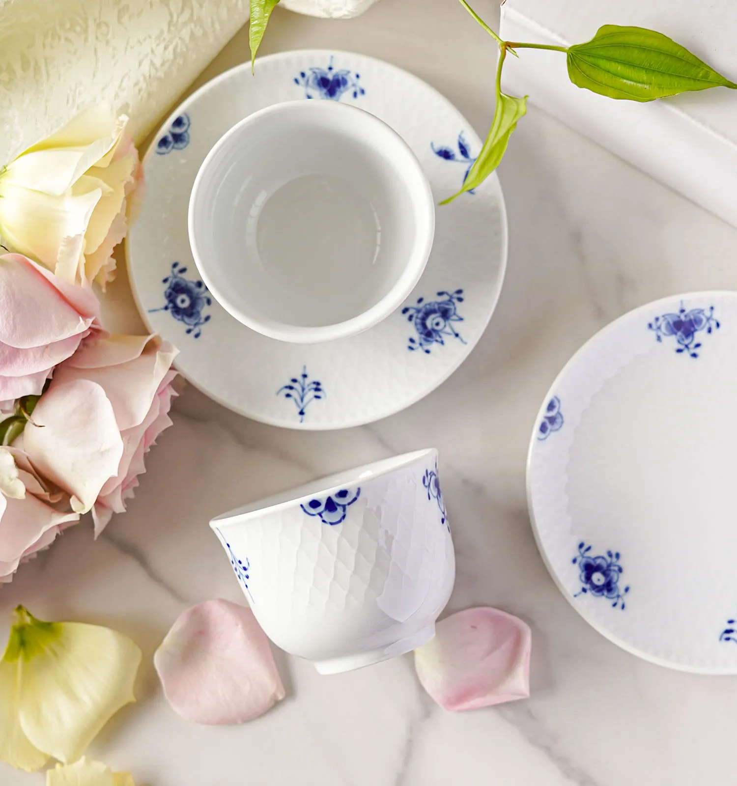 アミコセレクト画像