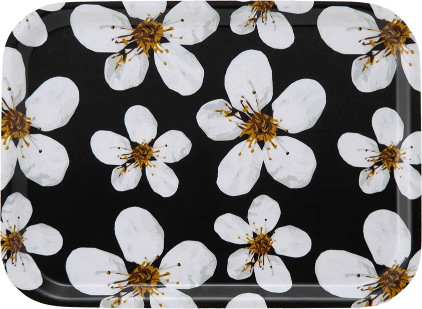 オーリー トレイ MEYERINKSの画像