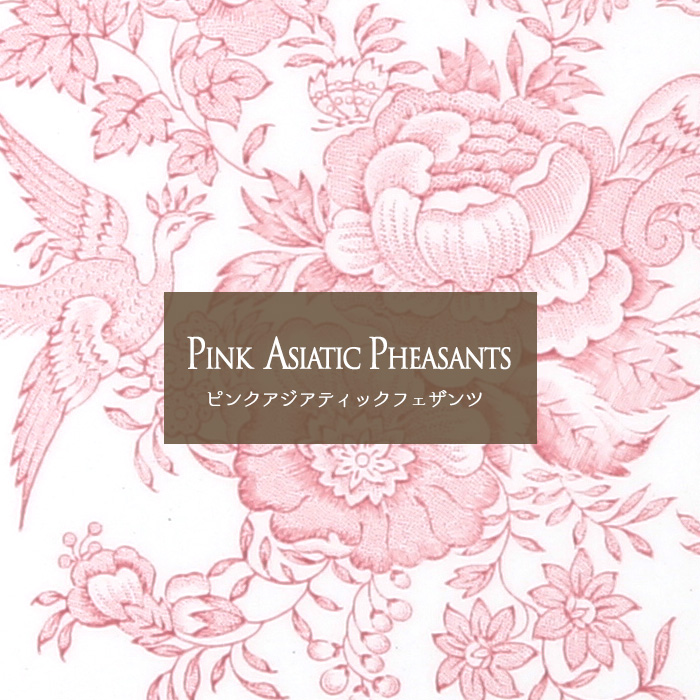ピンクアジアティックフェザンツの画像