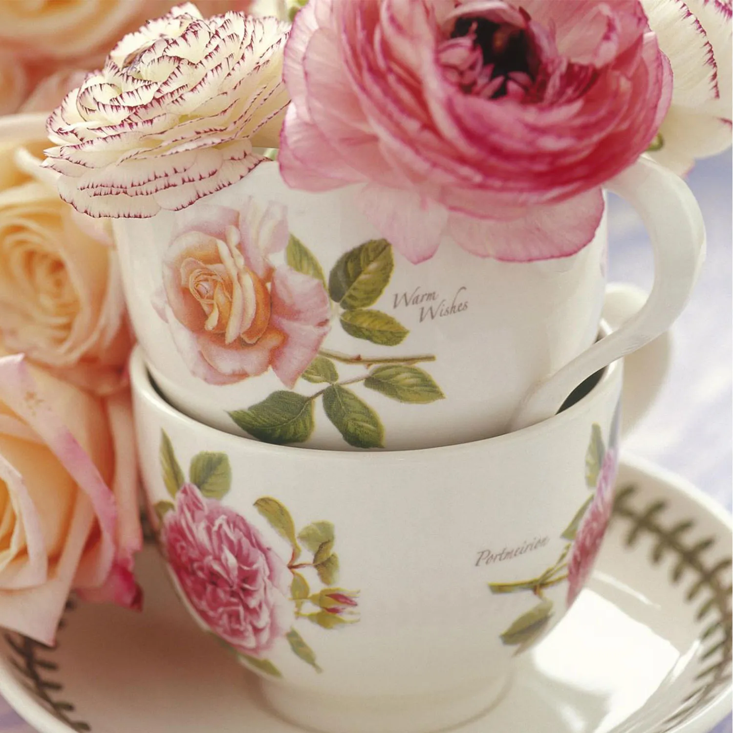 ポートメリオン画像