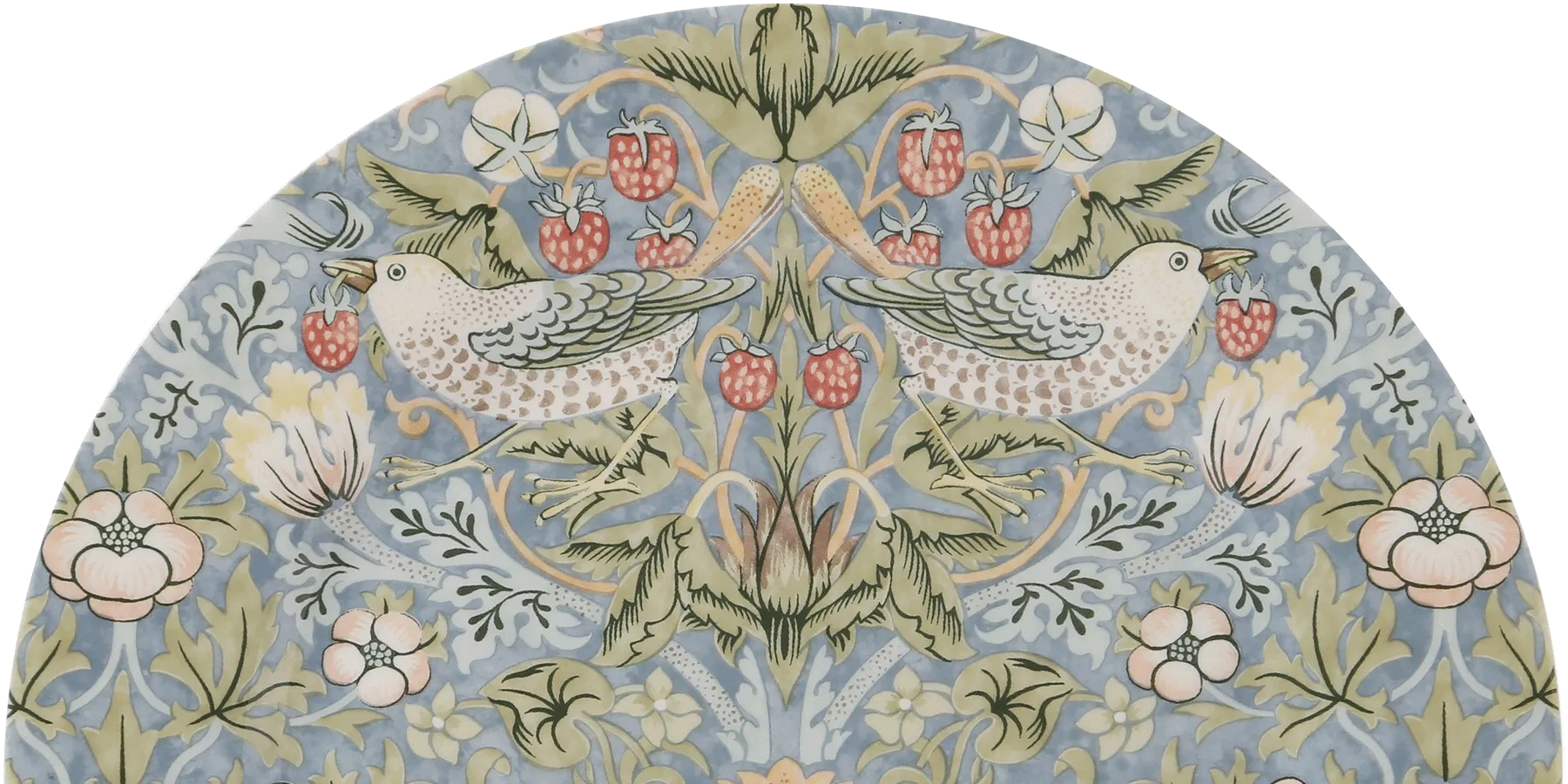 ピュアモリス画像