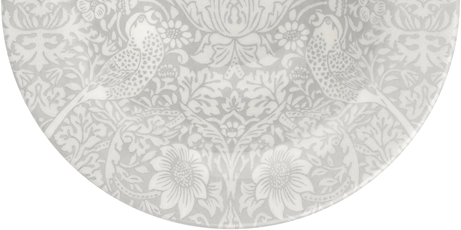 ピュアモリス画像