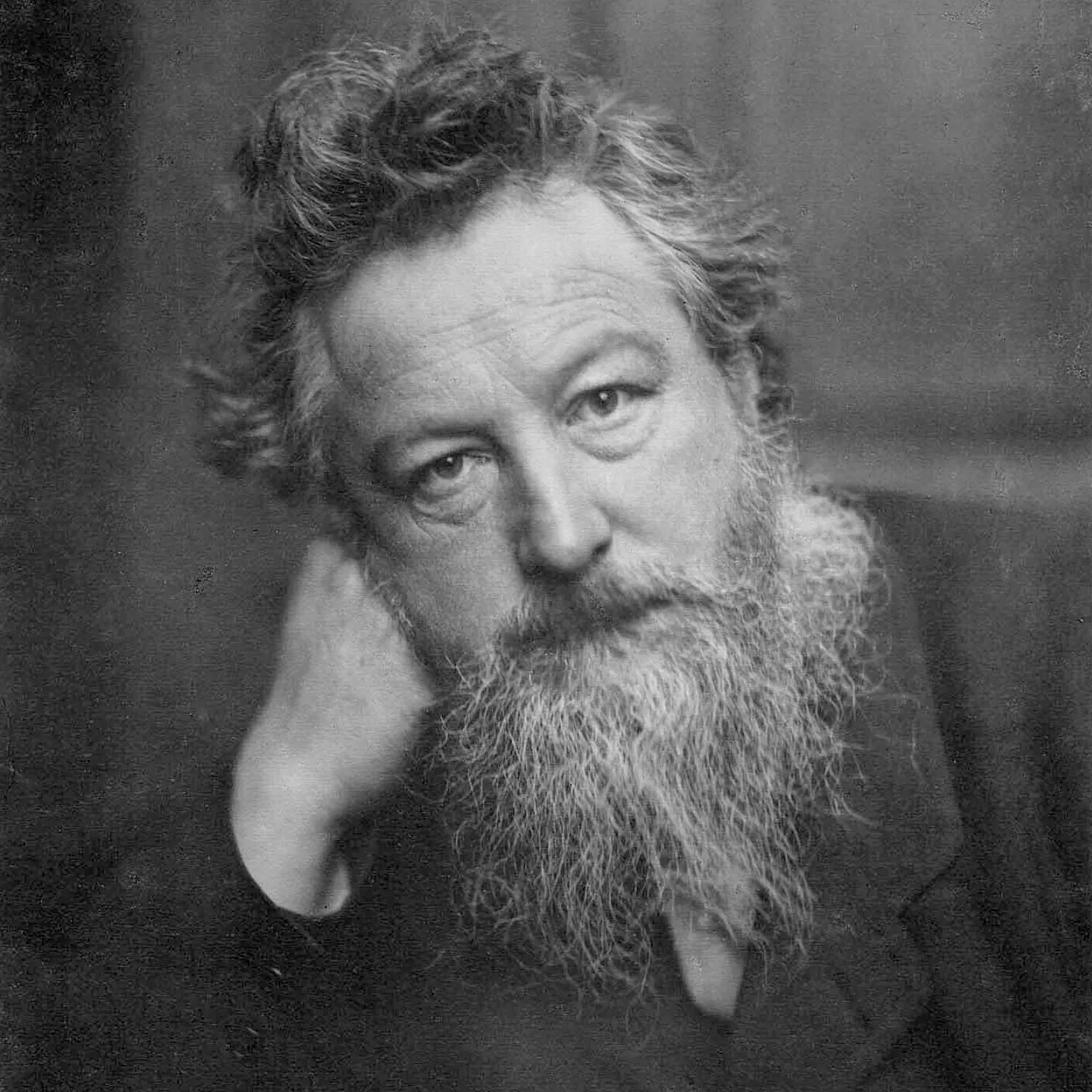 ピュアモリス画像