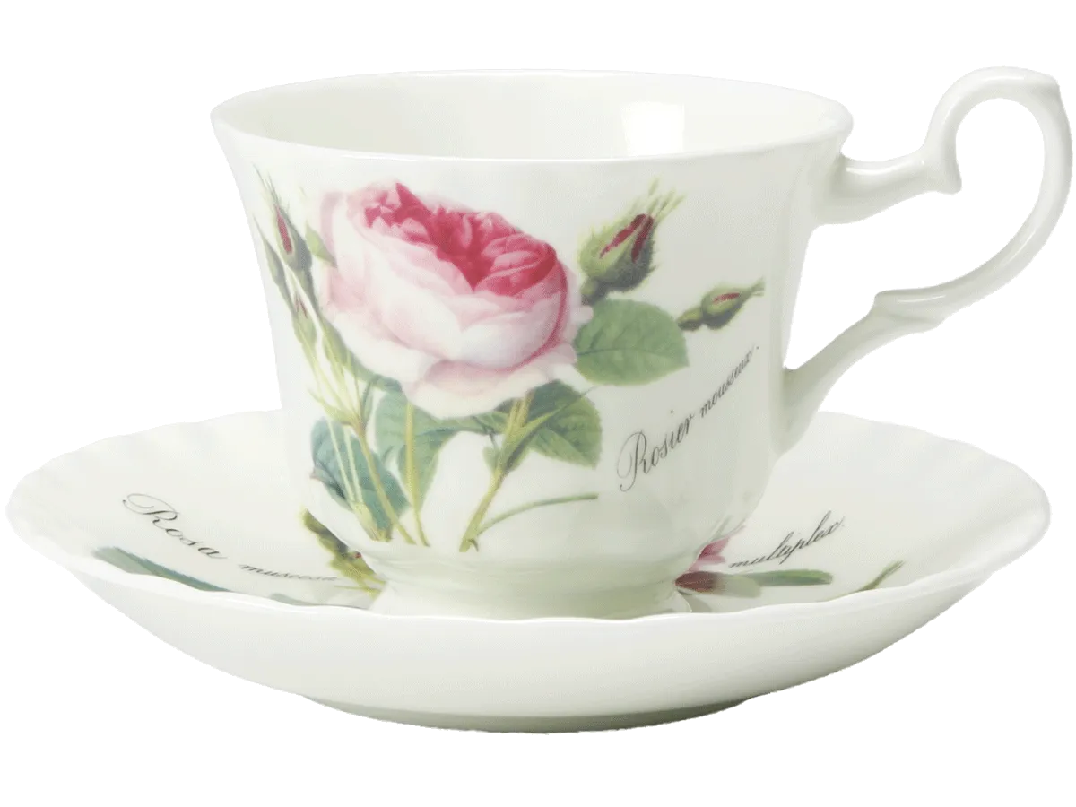 バラ特集の画像