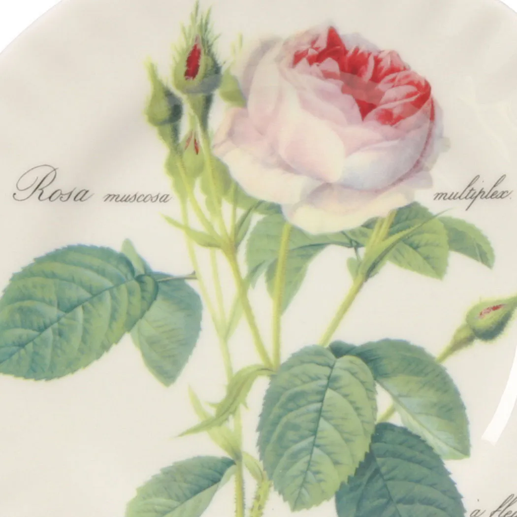 ルドゥトロサの画像