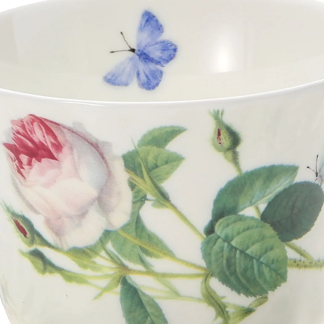 パレスガーデンの画像