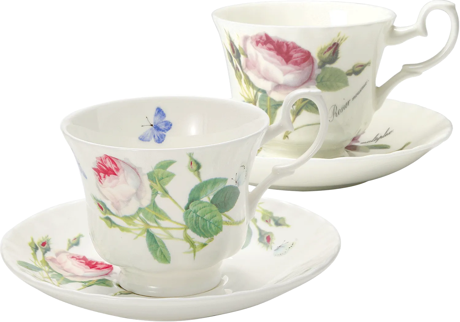 ルドゥトロサとパレスガーデンのティーカップの画像