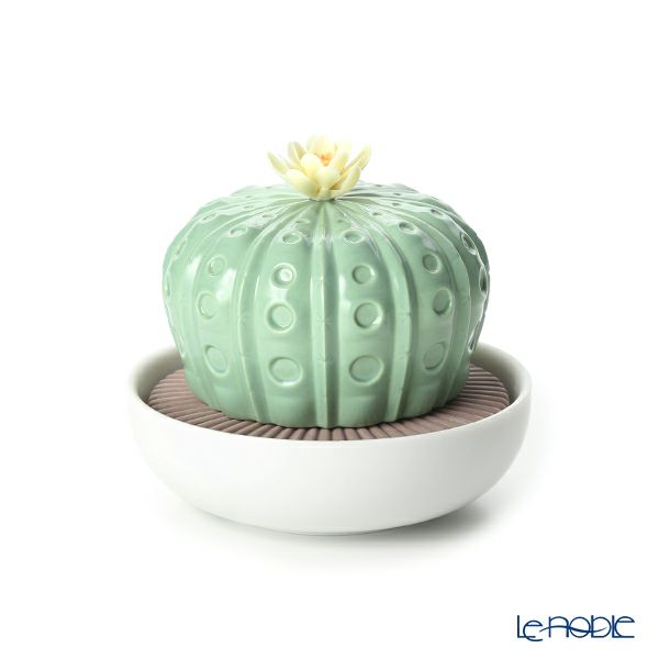 リヤドロ アストロフィツム-トロピカルブロッサム 40190（10×11cm）【リキッドディフューザーレフィル 1本付】