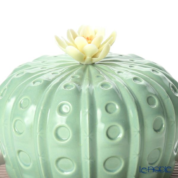 リヤドロ アストロフィツム-トロピカルブロッサム 40190（10×11cm）【リキッドディフューザーレフィル 1本付】