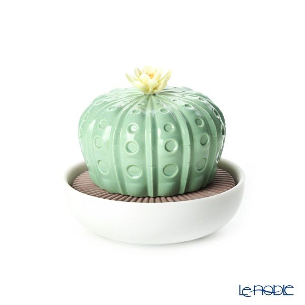 リヤドロ アストロフィツム カクタス‐ナイトアプローチ 40191（22×12cm）【リキッドディフューザーレフィル 1本付】