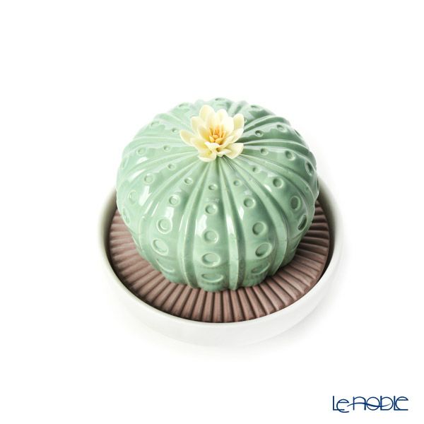 リヤドロ アストロフィツム カクタス‐ナイトアプローチ 40191（22×12cm）【リキッドディフューザーレフィル 1本付】