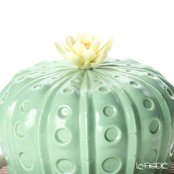 リヤドロ アストロフィツム カクタス‐ナイトアプローチ 40191（22×12cm）【リキッドディフューザーレフィル 1本付】