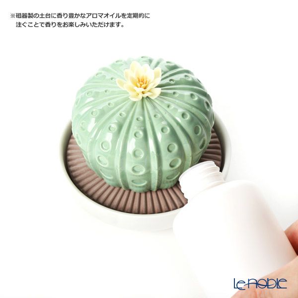 リヤドロ アストロフィツム カクタス‐ナイトアプローチ 40191（22×12cm）【リキッドディフューザーレフィル 1本付】