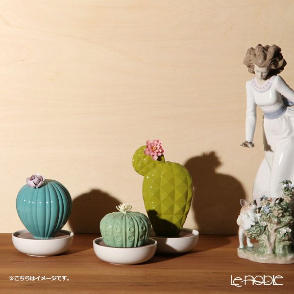 リヤドロ アストロフィツム カクタス‐ナイトアプローチ 40191（22×12cm）【リキッドディフューザーレフィル 1本付】