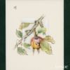 ヘレンド MID-10 08193-0-00 陶板（リンゴと昆虫） 4.5×3.5cm