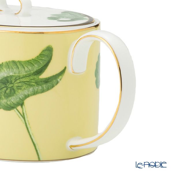 ウェッジウッド（Wedgwood） ワンダーラスト ウォーターリリー ティーポット 1L