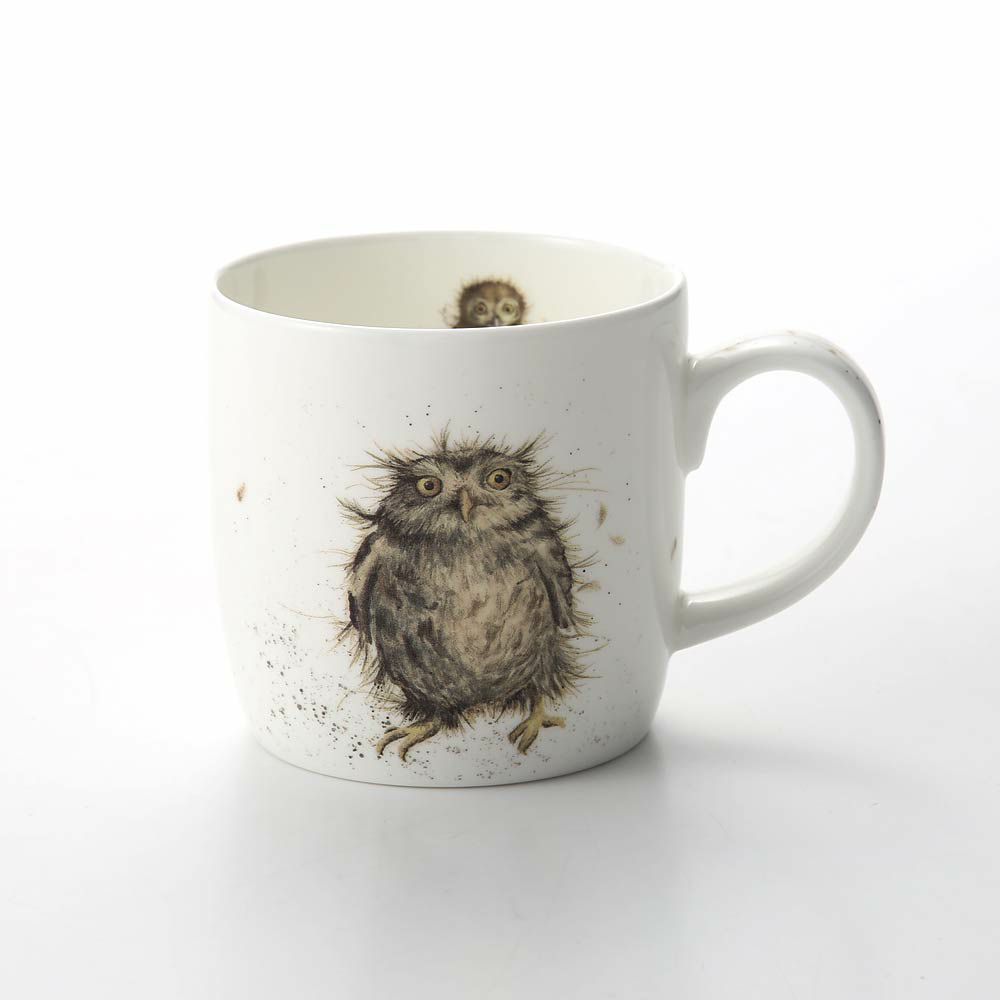 ロイヤル・ウースター レンデル マグ 310ml What a Hoot フクロウ