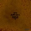 【1点限り】北欧ヴィンテージ アラビア（ARABIA） ソラヤ／Soraya プレート 17cm 02