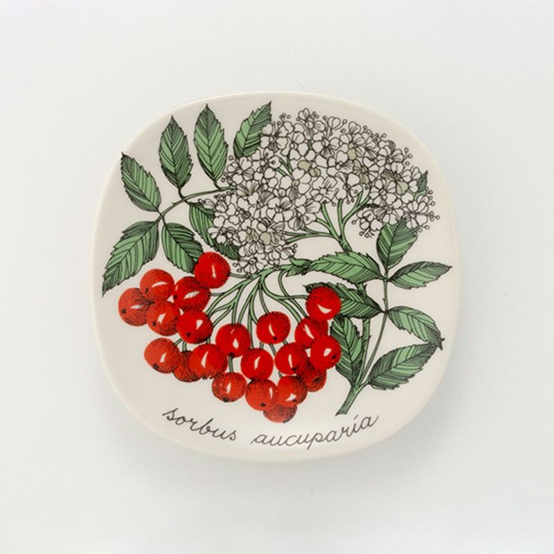 【1点限り】北欧ヴィンテージ アラビア（ARABIA） ボタニカ（オーキュパリア）／Botanica ウォールプレート