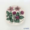 【1点限り】北欧ヴィンテージ アラビア（ARABIA） ボタニカ（チシマイチゴ）／Botanica ウォールプレート