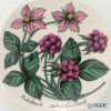 【1点限り】北欧ヴィンテージ アラビア（ARABIA） ボタニカ（チシマイチゴ）／Botanica ウォールプレート