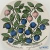 【1点限り】北欧ヴィンテージ アラビア（ARABIA） ボタニカ（ブルーベリー）／Botanica ウォールプレート