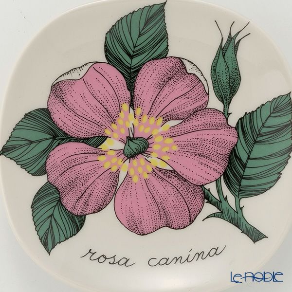 【1点限り】北欧ヴィンテージ アラビア（ARABIA） ボタニカ（ロサ・カニーナ）／Botanica ウォールプレート 1982年