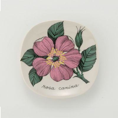 ARABIA アラビア ボタニカ ストア ロサ・カニーナ Rosa canina ARABIA