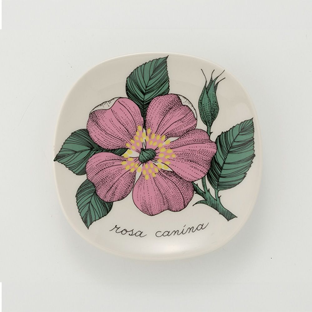【1点限り】北欧ヴィンテージ アラビア（ARABIA） ボタニカ（ロサ・カニーナ）／Botanica ウォールプレート 1982年