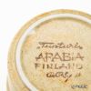 【1点限り】北欧ヴィンテージ アラビア（ARABIA） トゥントゥリ／Tunturi トリオセット ティーカップ＆ソーサー 05