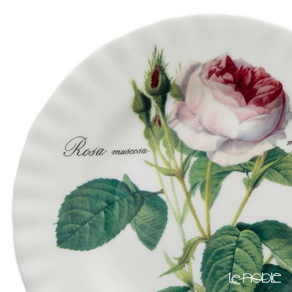 ロイカーカム ルドゥトロサ／ルドゥーテ・ローズ ティープレート 20cm