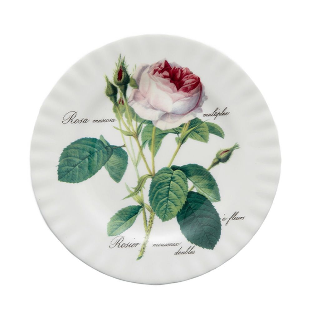 ロイカーカム ルドゥトロサ／ルドゥーテ・ローズ ティープレート 20cm