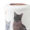 ロイカーカム キャットギャロール European Burmese（バーミーズ） こし器付ビーカー 320ml