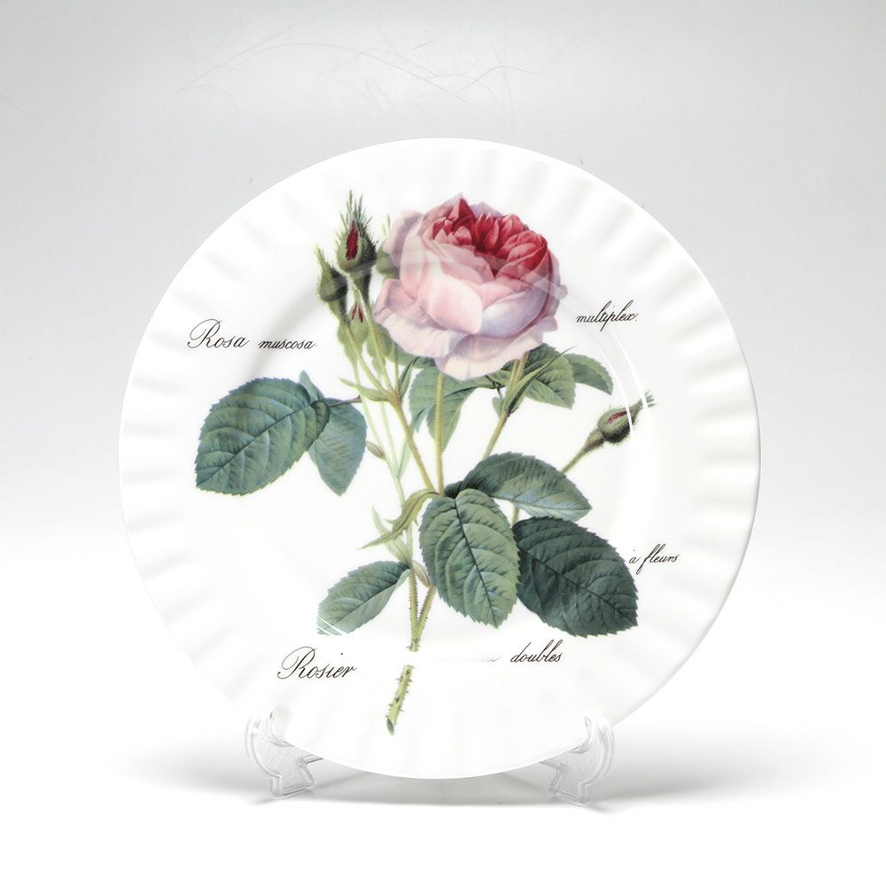 ロイカーカム ルドゥトロサ／ルドゥーテ・ローズ ディナープレート 27cm