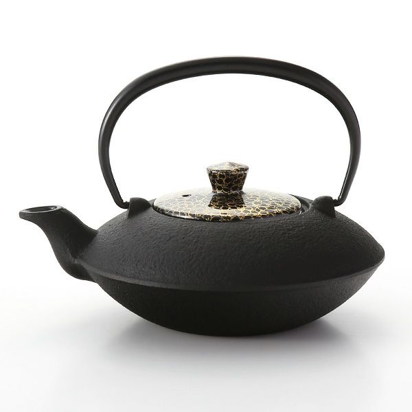 京焼・清水焼 鉄瓶急須・黒 T0168 黒地金彩桜詰 小 410ml