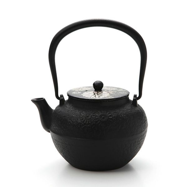 京焼・清水焼 鉄瓶急須 M0175 鉄絵菊花紋 800ml