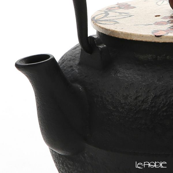 京焼・清水焼 鉄瓶急須 M0178 彩南天 800ml