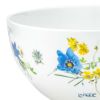 ローゼンタール アルプスの花／アルプスフラワー ボウル 26cm／4L