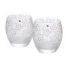 石塚硝子 プレミアムニッポンテイスト 桜 オールド ペア 345ml S-6062