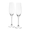 ロナ プレステージ シャンパンフルートグラス 210ml H25cm 2個セット