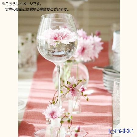 ロナ ペルセウス ワイン S 540ml