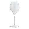 イタレッセ マスタークラス 42 スパークリングワイングラス 445ml 70719288