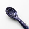 ポーリッシュポタリー（ポーランド陶器） ボレスワヴィエツ スプーン 13.5cm 1739A／226A