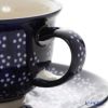 ポーリッシュポタリー（ポーランド陶器） ボレスワヴィエツ ティーカップ＆ソーサー 220ml／16cm 775／836／226A