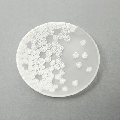 エルコーレモレッティ ミレフィオーリ プレート 19cm 春風 ホワイト