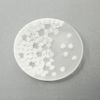 エルコーレモレッティ ミレフィオーリ 春風 プレート 8cm ホワイト 小皿