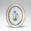 アウガルテン（AUGARTEN） メドウフラワーズ（6314E） リンドウ スモールディッシュ（飾り皿） 12cm（841）