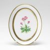アウガルテン（AUGARTEN） メドウフラワーズ（6314P） サクラソウ（レッド） スモールディッシュ（飾り皿） 12cm（841）