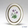 アウガルテン（AUGARTEN） メドウフラワーズ（6314V） スミレ スモールディッシュ（飾り皿） 12cm（841）