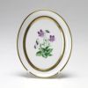 アウガルテン（AUGARTEN） メドウフラワーズ（6314V） スミレ スモールディッシュ（飾り皿） 12cm（841）